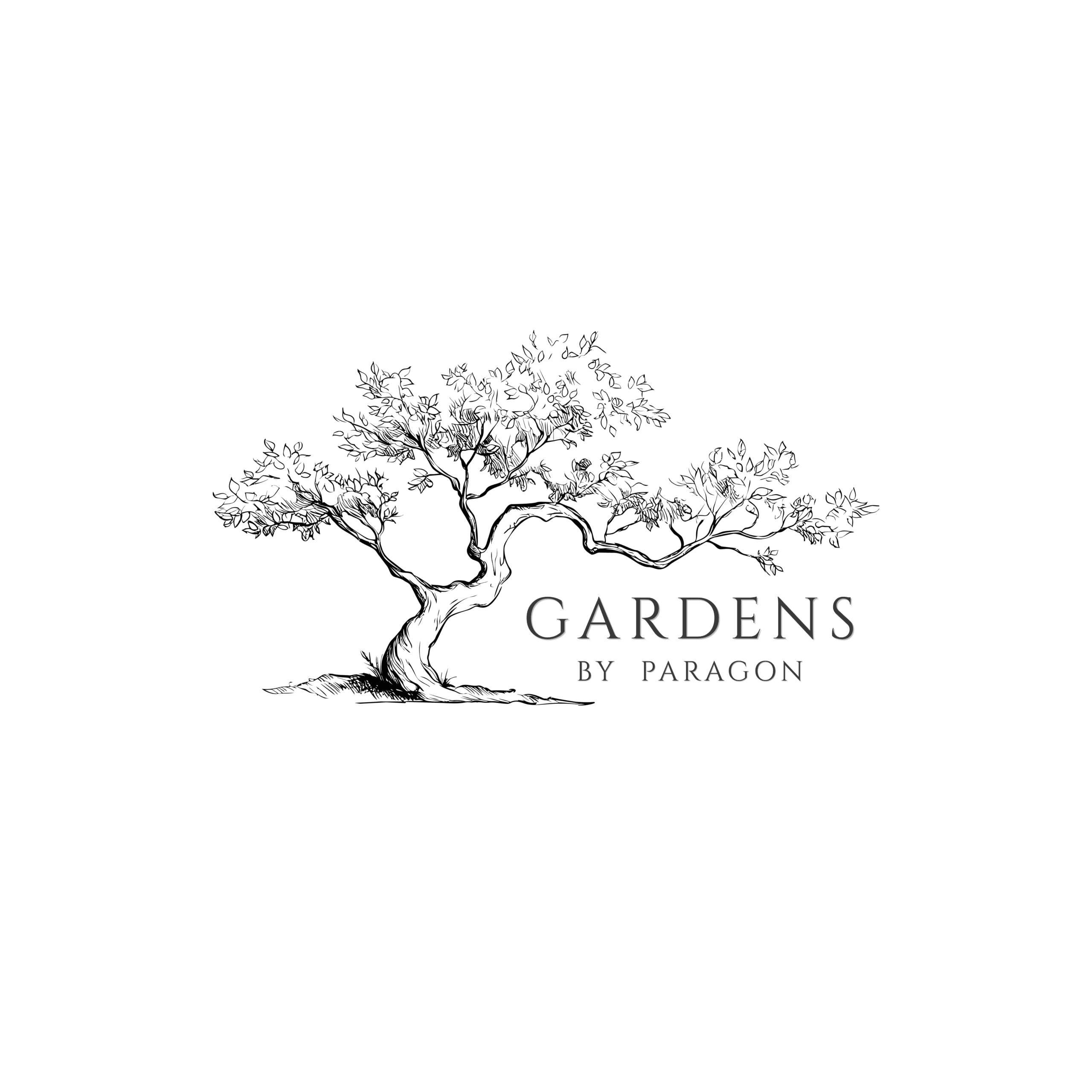CinzelBlack Gardens by Paragon Logo