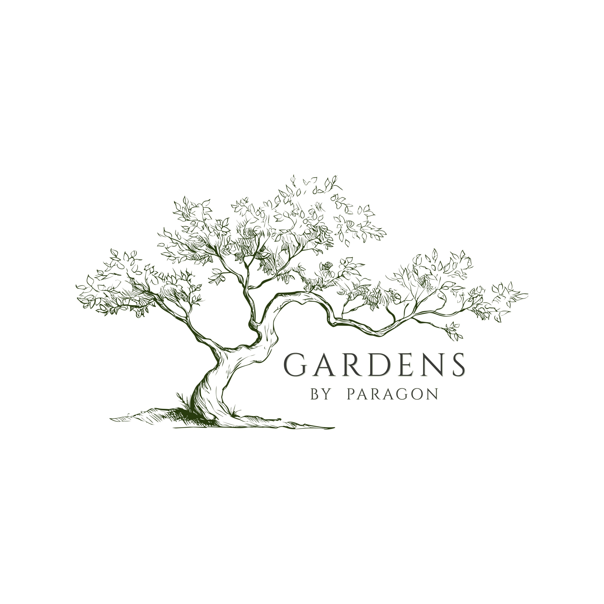 CinzelGreen Gardens by Paragon Logo