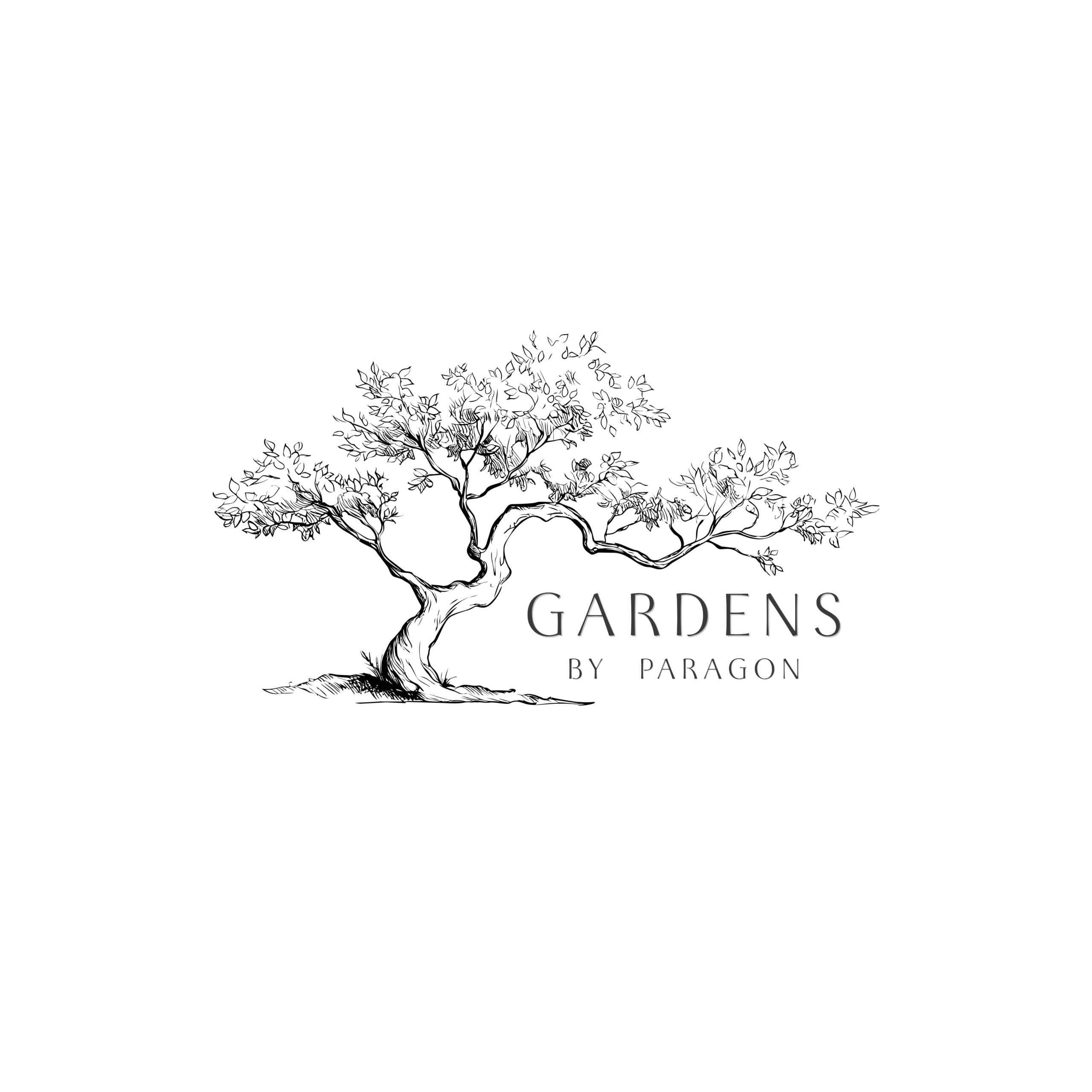 CotorisBlack Gardens by Paragon Logo